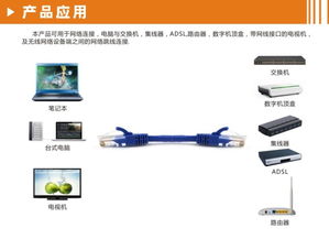 六類網線（Cat6）全面解析 從核心參數到選購指南