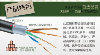 秋葉原QF7721超五類網絡線 專為室外設計，雙層防水與無氧銅芯的完美結合