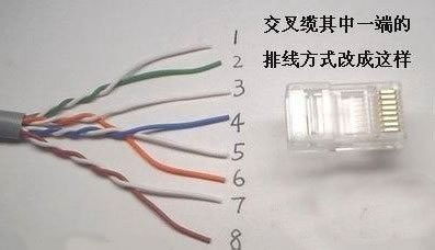 自己動手制作網線 從選購材料到測試的完整指南